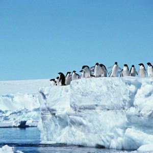 SKHTO_akciya_Antarktida1