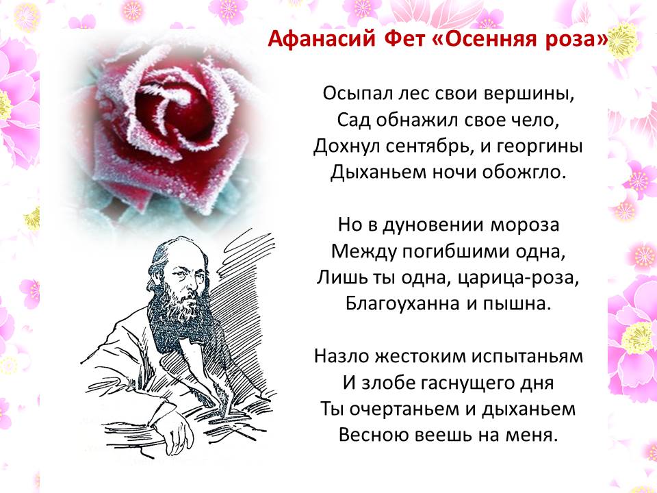 Анализ стихотворения Пушкина «Роза»