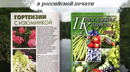 Интернет-проект «Республика Мордовия в российской.. _ (Закрытая группа) Информация на сайт НБ_2