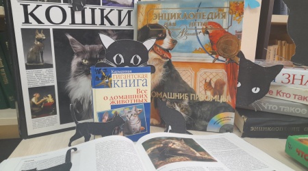 Книжная выставка-инсталляция _Ох уж эти кошки_ _ (Закрытая группа) Информация на сайт НБ_4