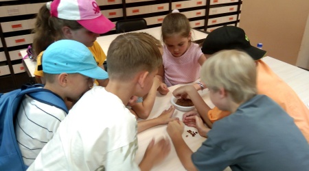 Игра _Один за всех и все за одного_ _ (Закрытая группа) Информация на сайт НБ_1