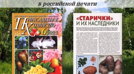 Интернет-проект «Республика Мордовия в российской.. _ (Закрытая группа) Информация на сайт НБ_1