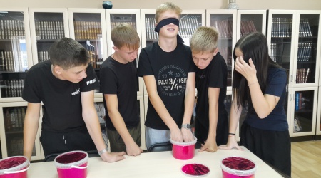 Александровская СОШ в гостях у Пушкинки _ (Закрытая группа) Информация на сайт НБ (2)