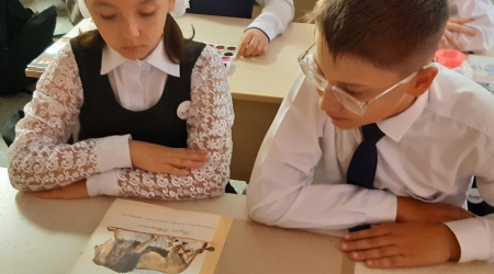 Библиоквест «Открывая Льва Толстого» _ (Закрытая группа) Информация на сайт НБ (1)