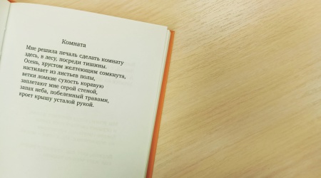 КнигоТоп выходного дня_ Мамонов Петр Стихотворения _ (Закрытая группа) Информация на сайт НБ