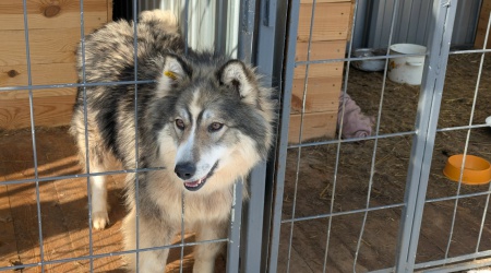 сайт и социальные сетиближайшее время _ (Закрытая группа) Информация на сайт НБ (1)