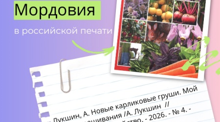 Интернет-проект «Республика Мордовия в рос... _ (Закрытая группа) Информация на сайт НБ (1)