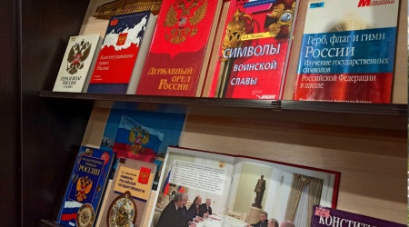 АИС ПУШКИНА2