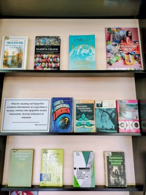Добрый день. Книжная выставка _Этот удивит... _ (Закрытая группа) Информация на сайт НБ (4)