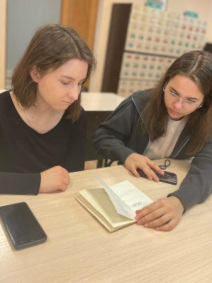 ИНО - на сайт и в ССПрограмма «Ай да Пушкин» _ (Закрытая группа) Информация на сайт НБ (3)