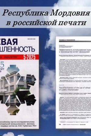 Интернет-проект «Республика Мордовия в российской.. _ (Закрытая группа) Информация на сайт НБ