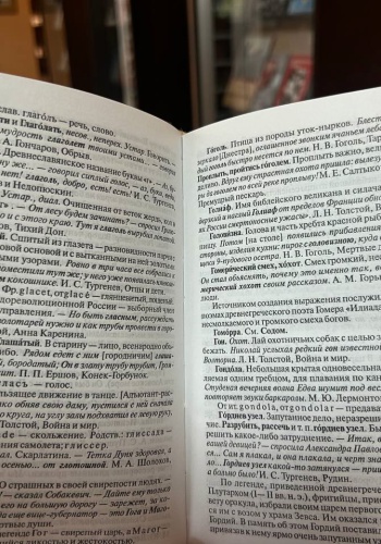 Интернет-проект в поддержку русского языка.. _ (Закрытая группа) Информация на сайт НБ