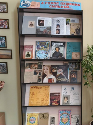 Книжная выставка «А голос Пушкина сильней» _ (Закрытая группа) Информация на сайт НБ (3)