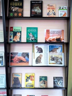 Книжная выставка «Кошки с книжной обложки» _ (Закрытая группа) Информация на сайт НБ (1)