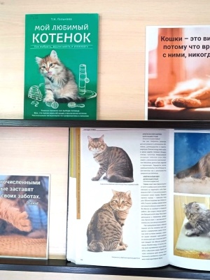 Книжная выставка «Кошки с книжной обложки» _ (Закрытая группа) Информация на сайт НБ