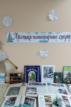 Книжная выставка «Листая новогодние.. _ (Закрытая группа) Информация на сайт НБ (5)