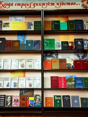 Книжная выставка-просмотр «Когда строку ди... _ (Закрытая группа) Информация на сайт НБ (3)
