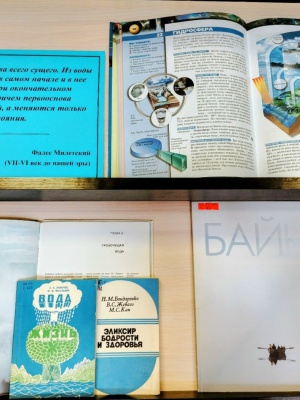 Книжная выставка «Символ жизни на Земле – ... _ (Закрытая группа) Информация на сайт НБ (3)