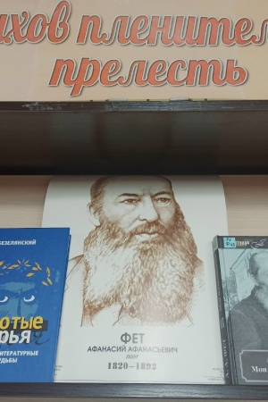 Книжная выставка «Стихов пленительная прелесть» _ (Закрытая группа) Информация на сайт НБ (1)