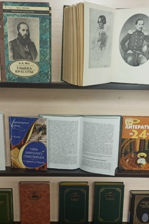 Книжная выставка «Стихов пленительная прелесть» _ (Закрытая группа) Информация на сайт НБ