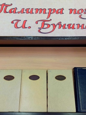 Книжная выставка_Палитра поэзии И. Бунина_.. _ (Закрытая группа) Информация на сайт НБ