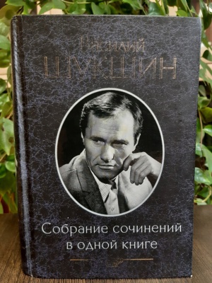 «Литературный календарь»_ к 95-летию В. М... _ (Закрытая группа) Информация на сайт НБ