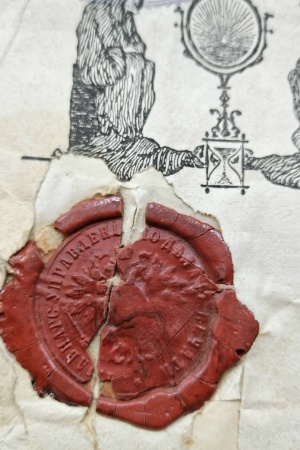 На сайт и соцсети _ (Закрытая группа) Информация на сайт НБ (1)