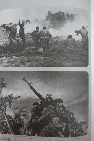 Онлайн-проект «Родословная моей земли», посвященный.. _ (Закрытая группа) Информация на сайт НБ_1