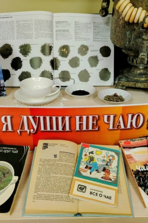 Выставка _В чае я души не чаю_ _ (Закрытая группа) Информация на сайт НБ