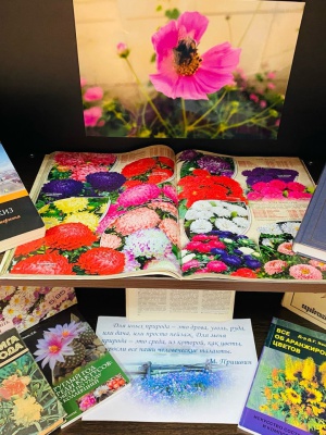 Выставка «Цветы – улыбка природы» _ (Закрытая группа) Информация на сайт НБ_2