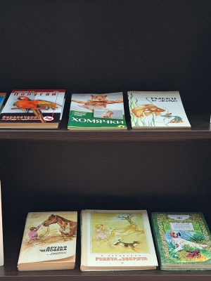 Выставка «Друзья вашего дома» _ (Закрытая группа) Информация на сайт НБ_2