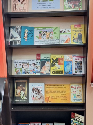 Выставка «Друзья вашего дома» _ (Закрытая группа) Информация на сайт НБ_4