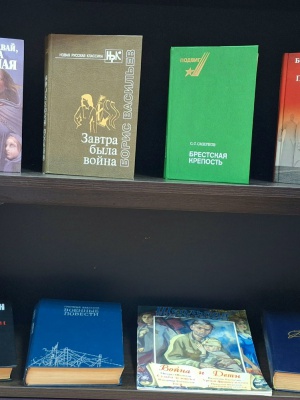 Выставка «И память книга оживит»_ ко Дню п... _ (Закрытая группа) Информация на сайт НБ (2)