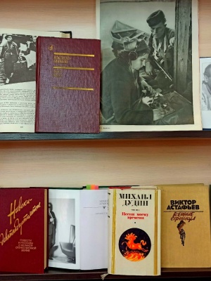 Выставка-просмотр _Любимые книги о Великой... _ (Закрытая группа) Информация на сайт НБ (3)